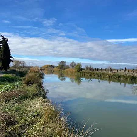 T3 Bis Bord Du Canal Du Midi Piscine